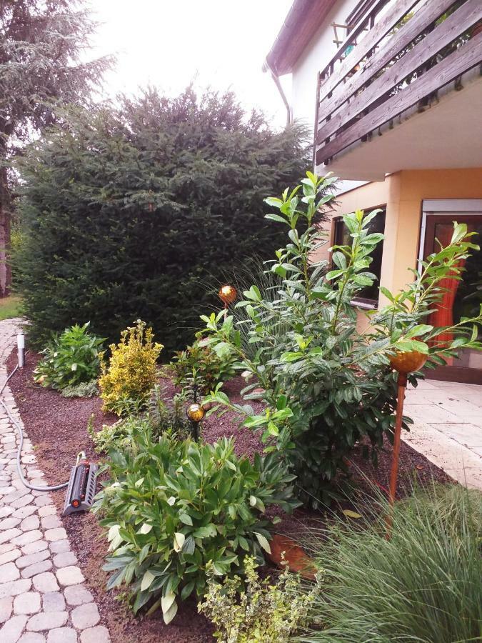 Ferienwohnung Im Rottal Oberrot Ngoại thất bức ảnh